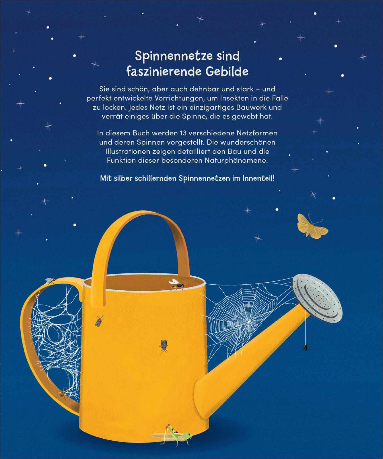 Wunderwelt der Spinnennetze (Mängelexemplar)