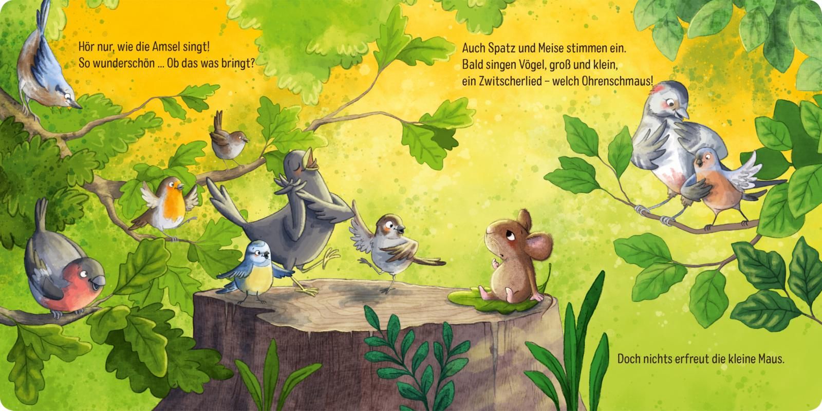 Die kleine Pupsmaus (Mängelexemplar)
