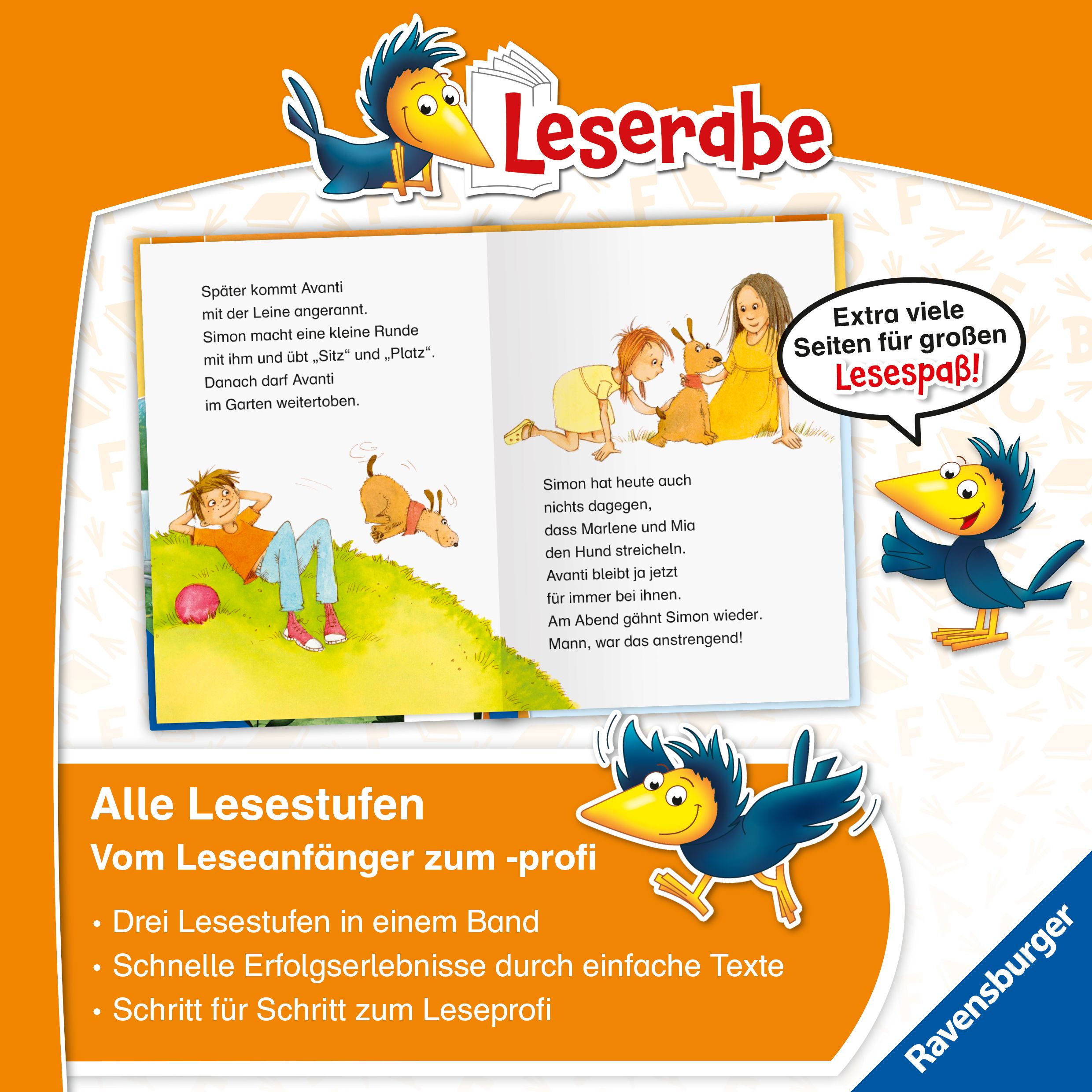 Leserabe Sonderausgaben - Hundegeschichten zum Lesenlernen (Mängelexemplar)