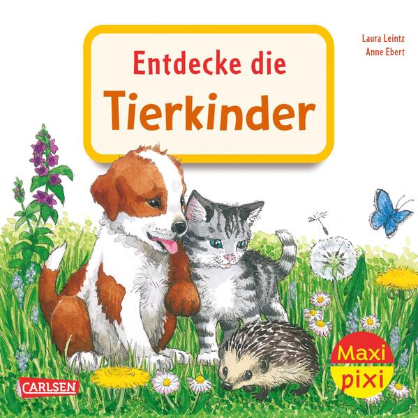 Maxi Pixi 463: Entdecke die Tierkinder (Mängelexemplar)