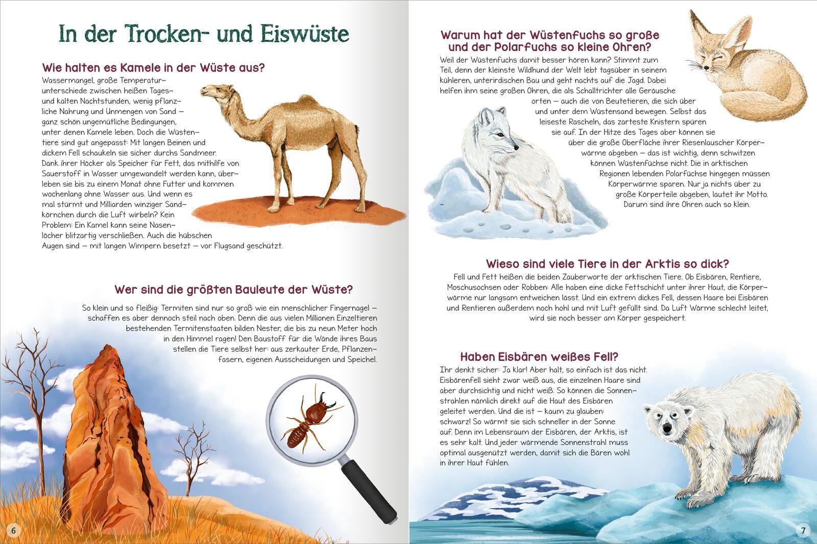 Was willst du wissen? Das große Fragen- und Antwortenbuch – Tiere