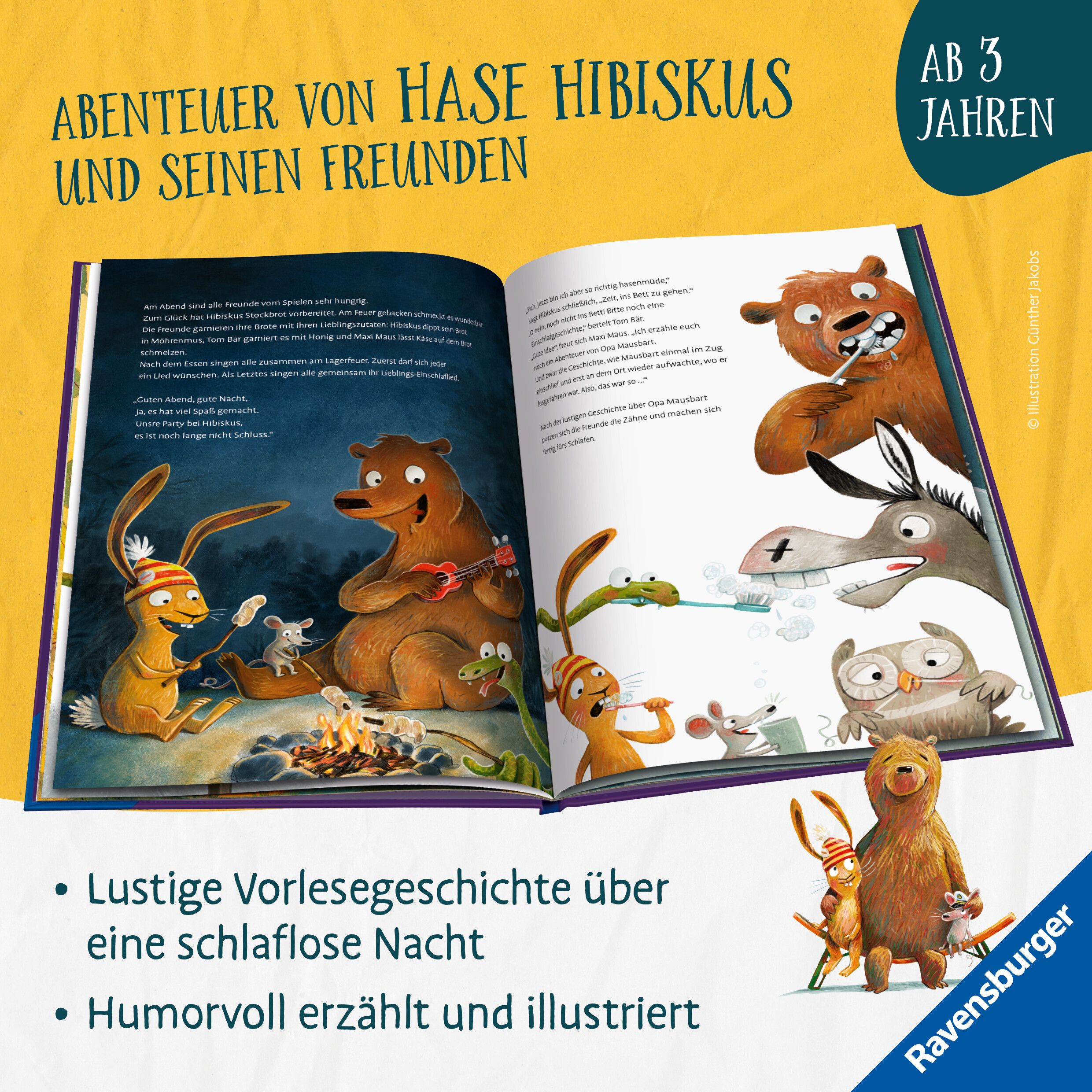 Hase Hibiskus und die (K)Einschlafparty (Mängelexemplar)