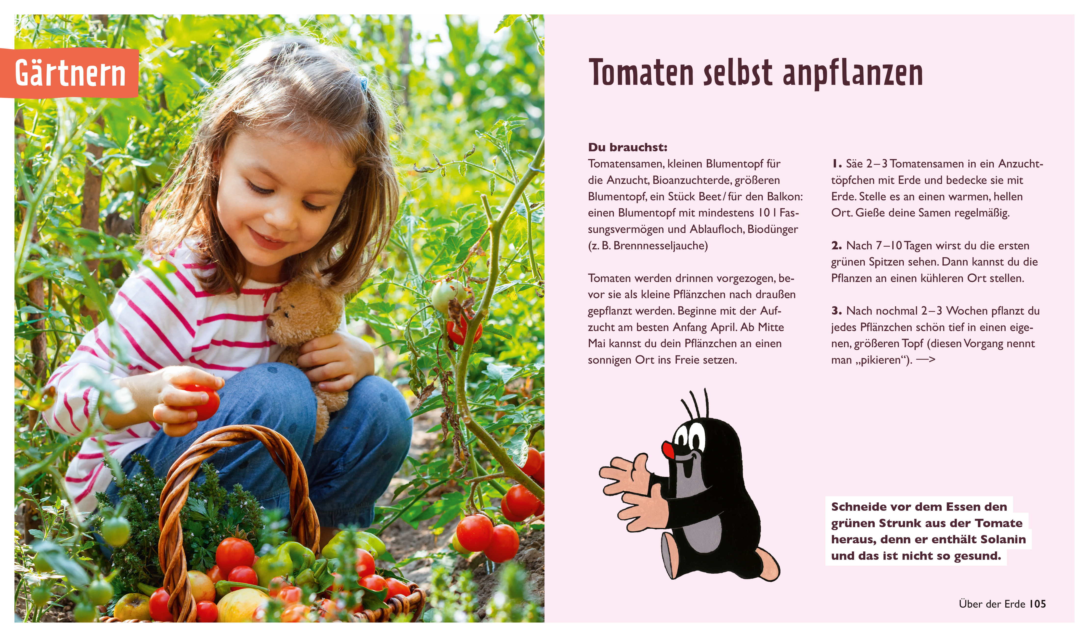 Der kleine Maulwurf: Über und unter der Erde (Mängelexemplar)
