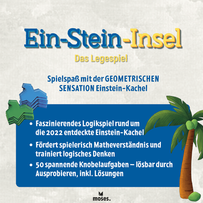 X_PhänoMINT Ein-Stein-Insel - Das Legespiel