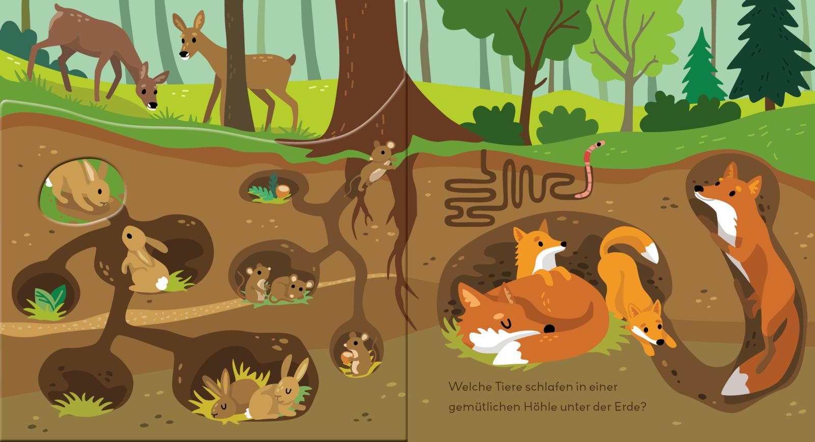 Baby Pixi (unkaputtbar) 178: Flippediflapp: Tiere im Wald (Mängelexemplar)