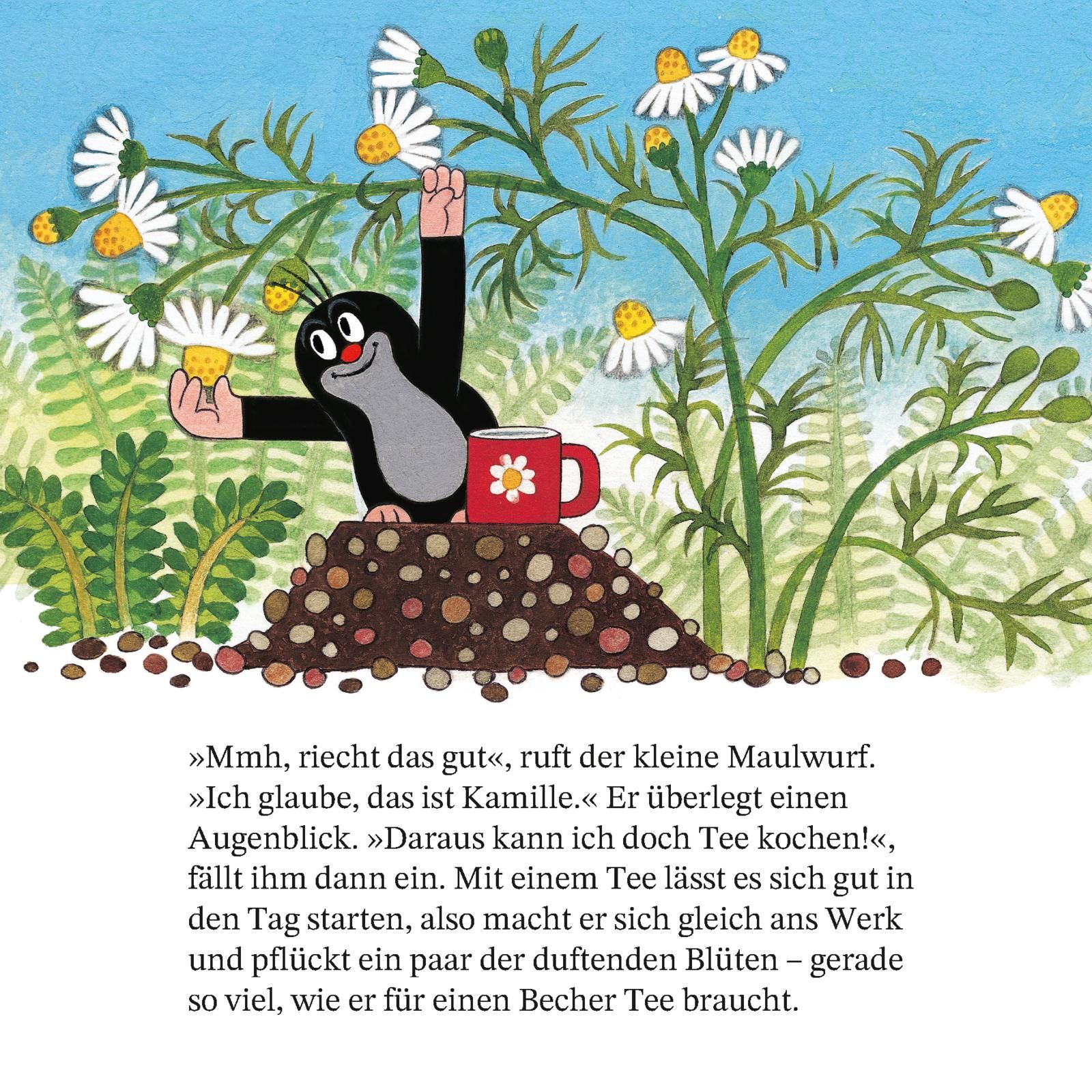 Maxi Pixi 468: Ein Tag mit dem kleinen Maulwurf (Mängelexemplar)