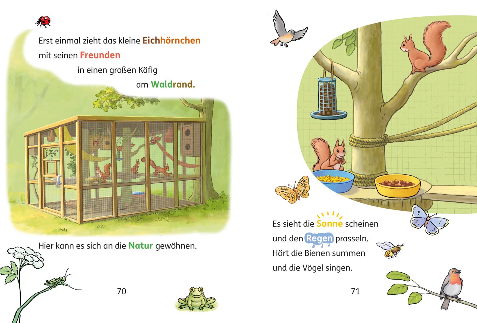 Lesen lernen mit Conni: Conni und das Eichhörnchen (Mängelexemplar)