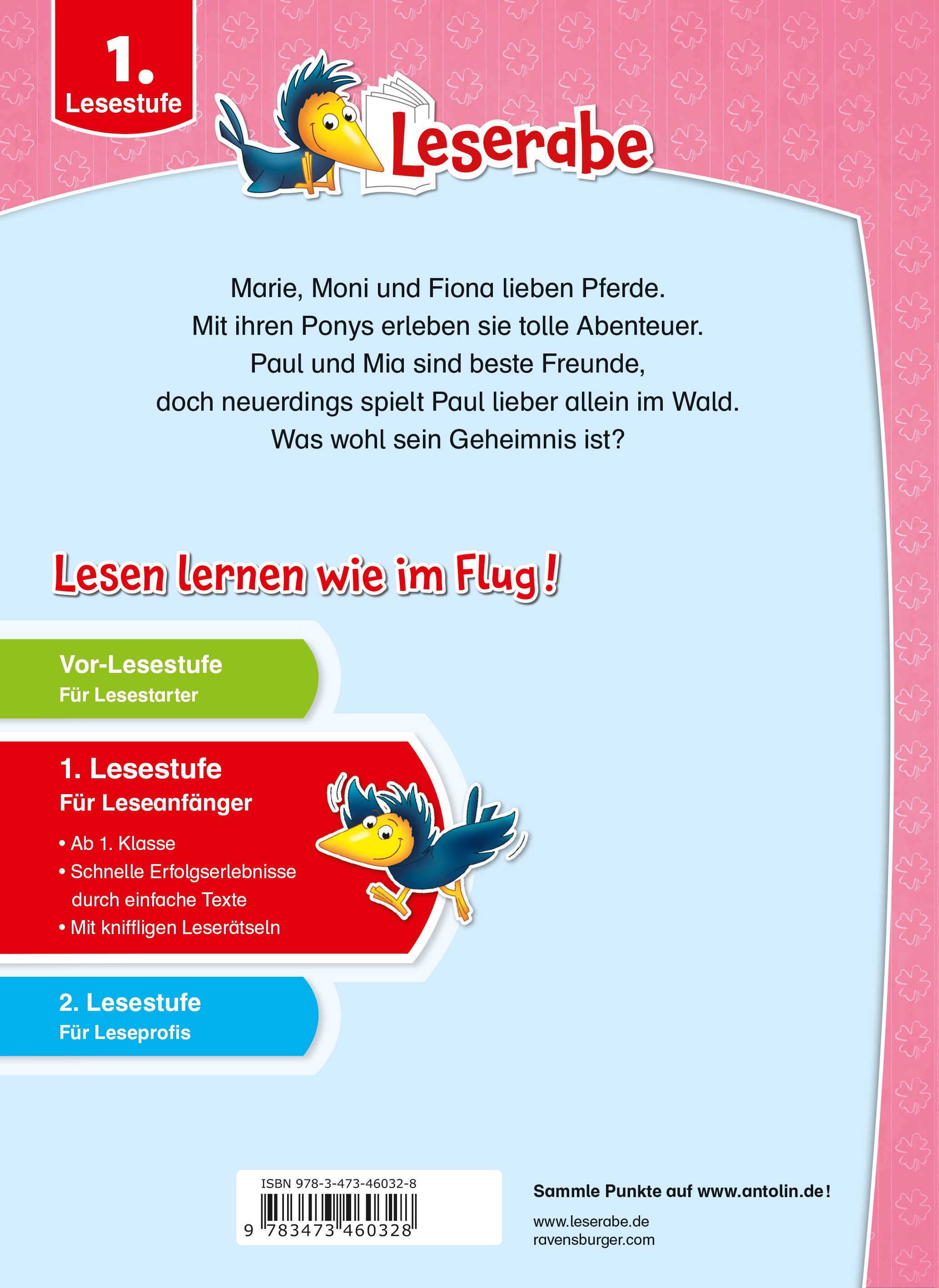 Leserabe Sonderausgaben - Zauberhafte Erstlesegeschichten von Pferden und Geheimnissen (Mängelexemplar)