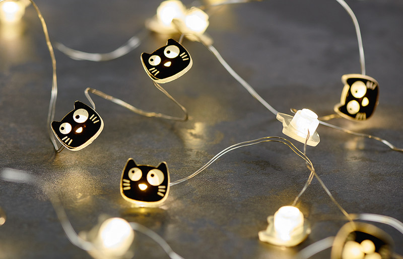 X_Ed, the Cat Mini-Lichterkette