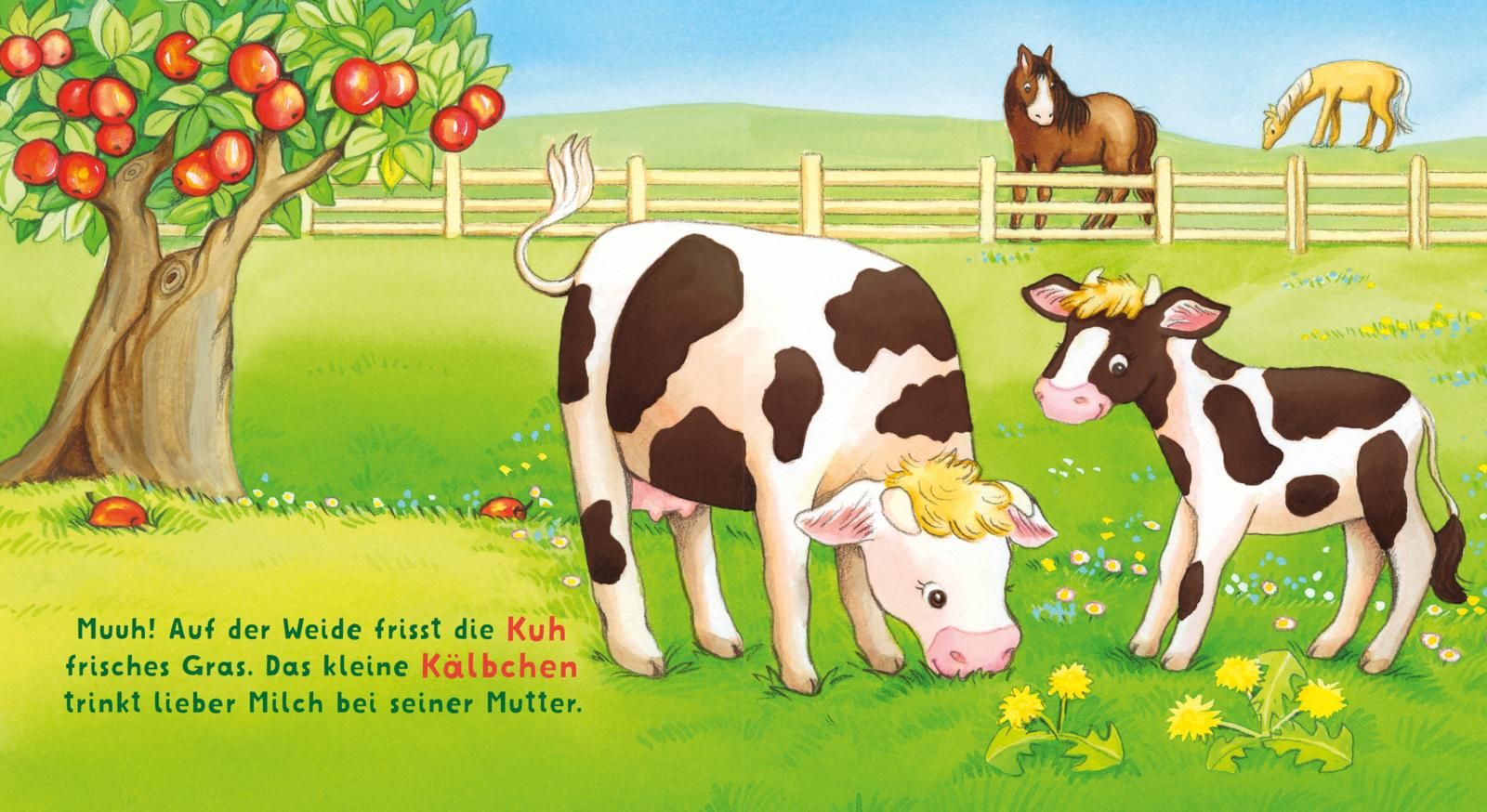 Baby Pixi (unkaputtbar) 167: Baby Pixi Stoff: Wir besuchen den Bauernhof (Mängelexemplar)