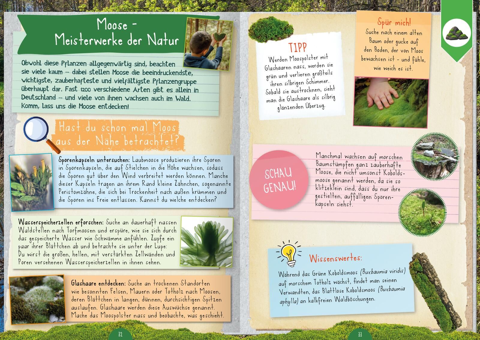 Naturforscher-Kids – Mitmachbuch im Wald (Mängelexemplar)