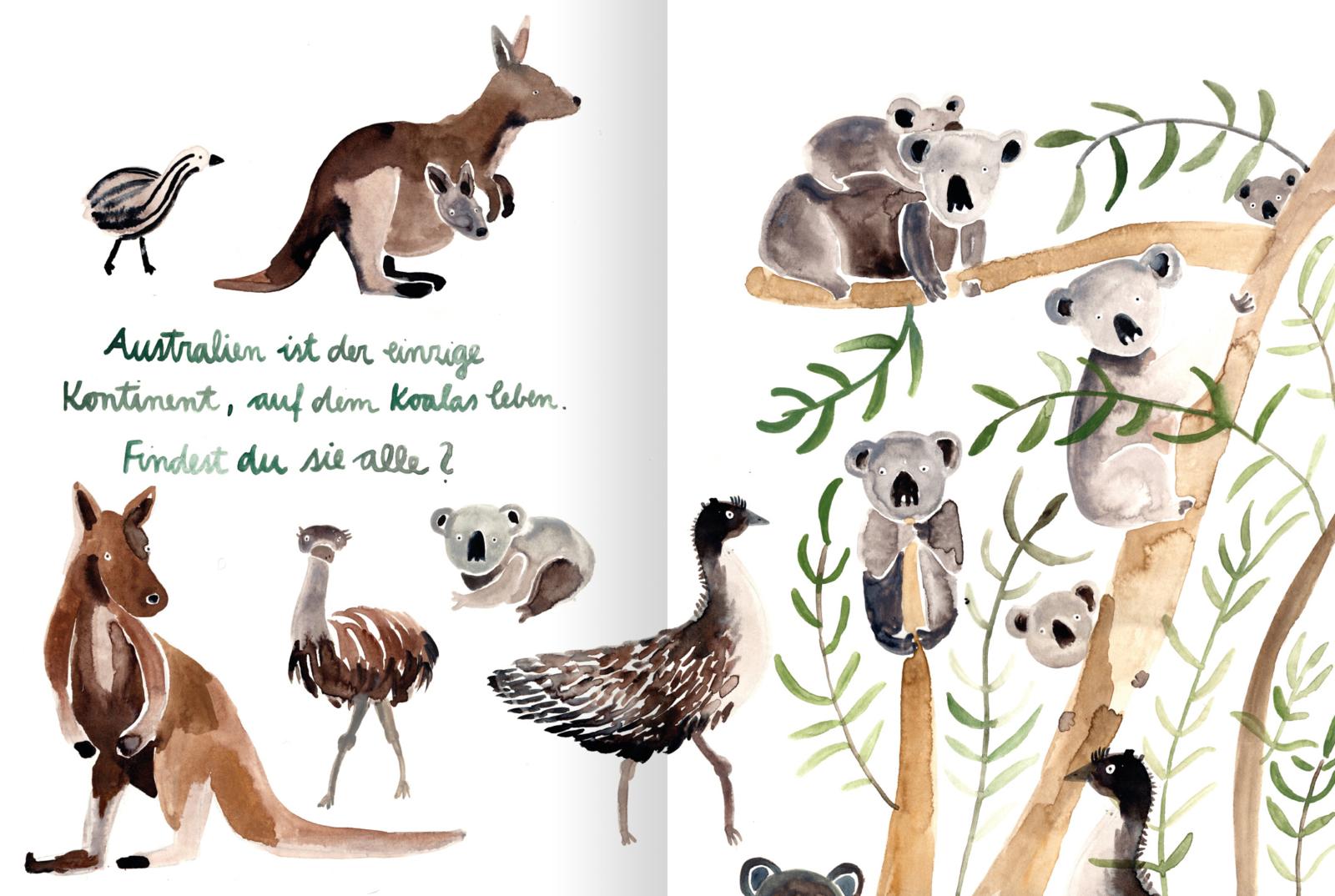 Die Tierwelt, die dir gefällt! Ein Mitmachbuch