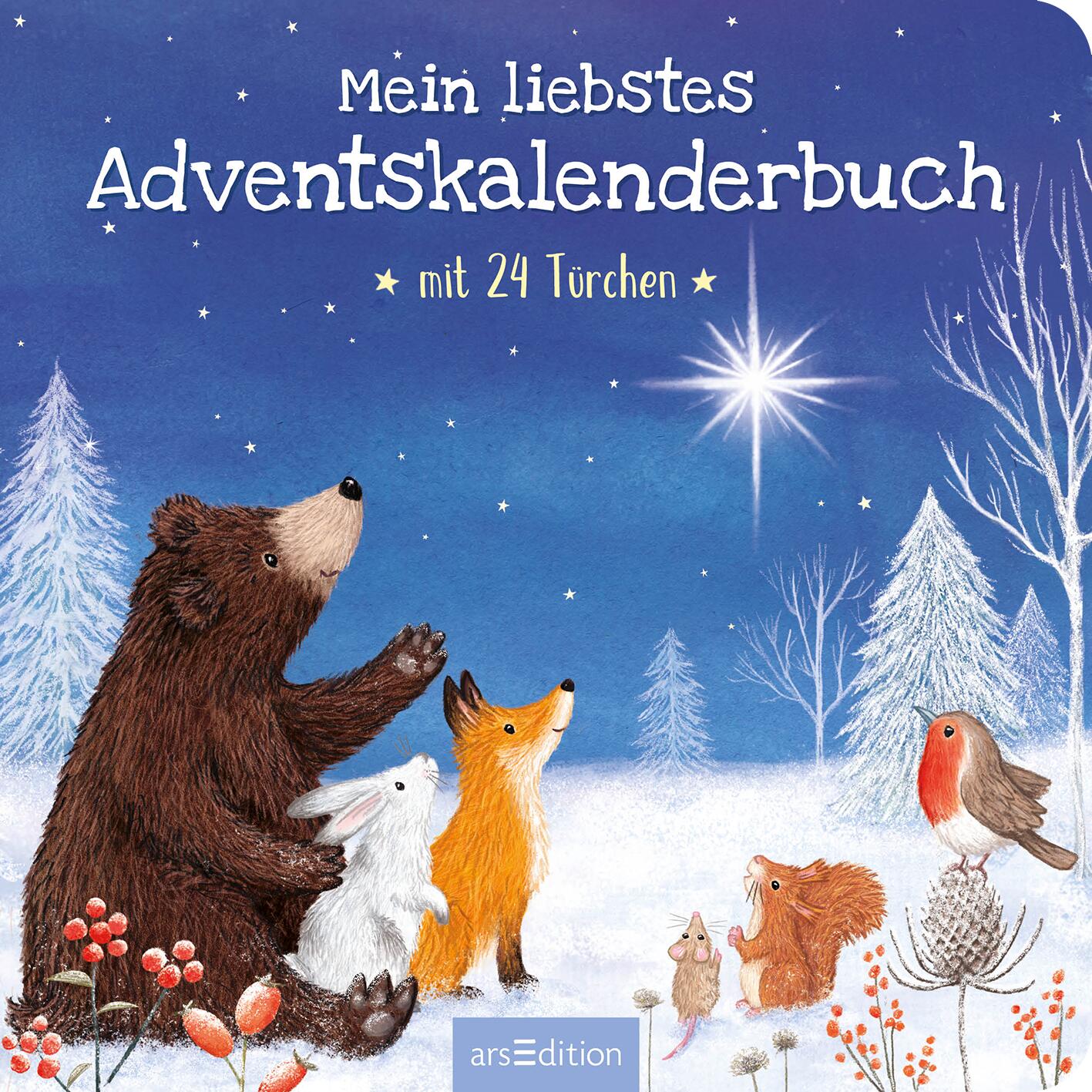 Mein liebstes Adventskalenderbuch (Mängelexemplar)