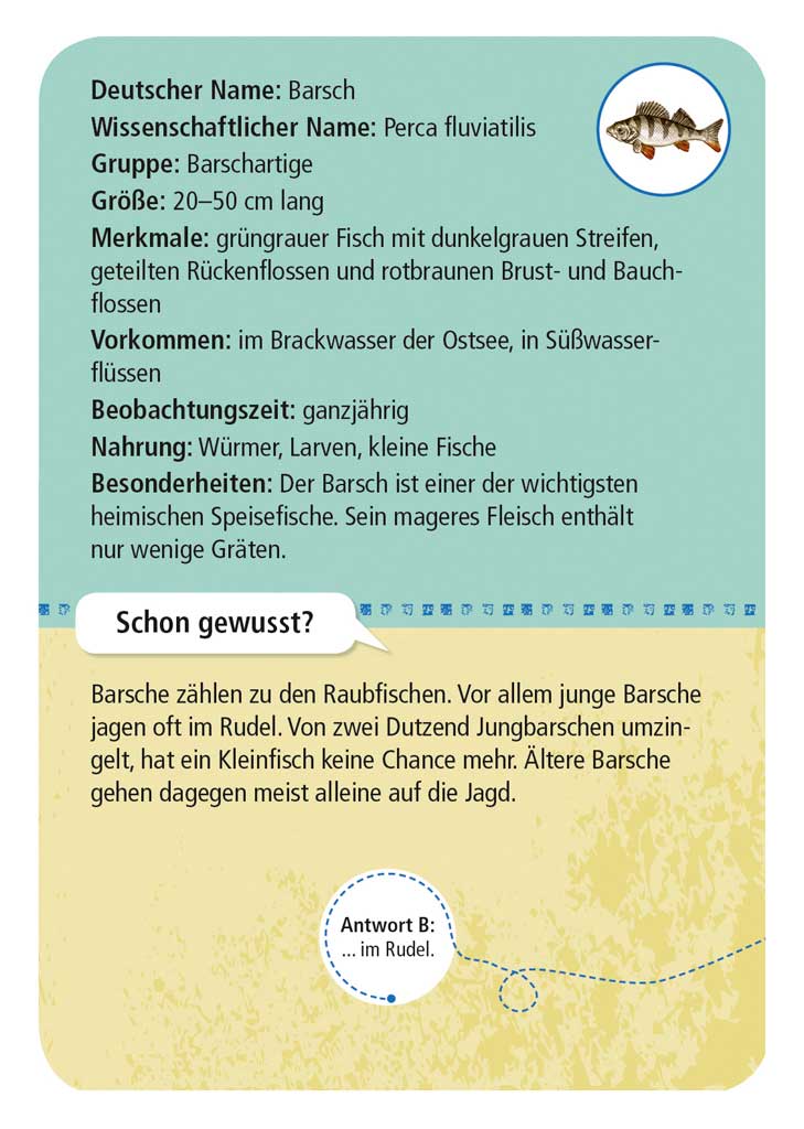 X_Expedition Natur - 50 heimische Strandtiere & Pflanzen