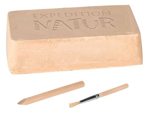 X_Expedition Natur - Mini-Ausgrabungsset (Inhalt wird zufällig gewählt)