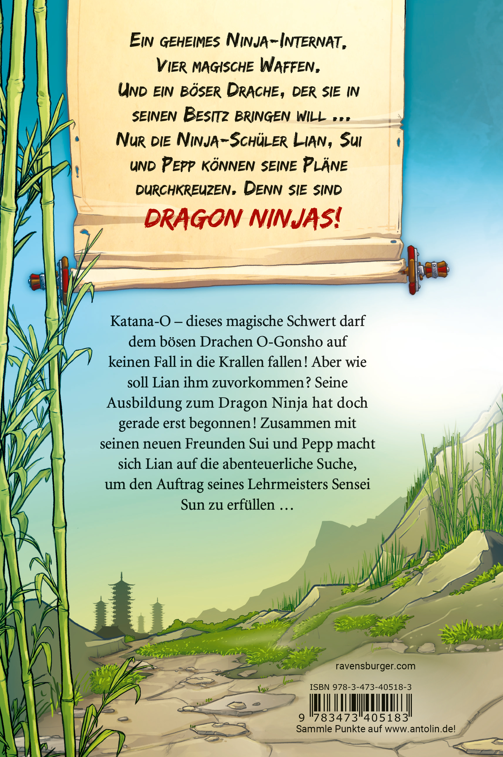 Dragon Ninjas, Band 1 - Der Drache der Berge (Mängelexemplar)