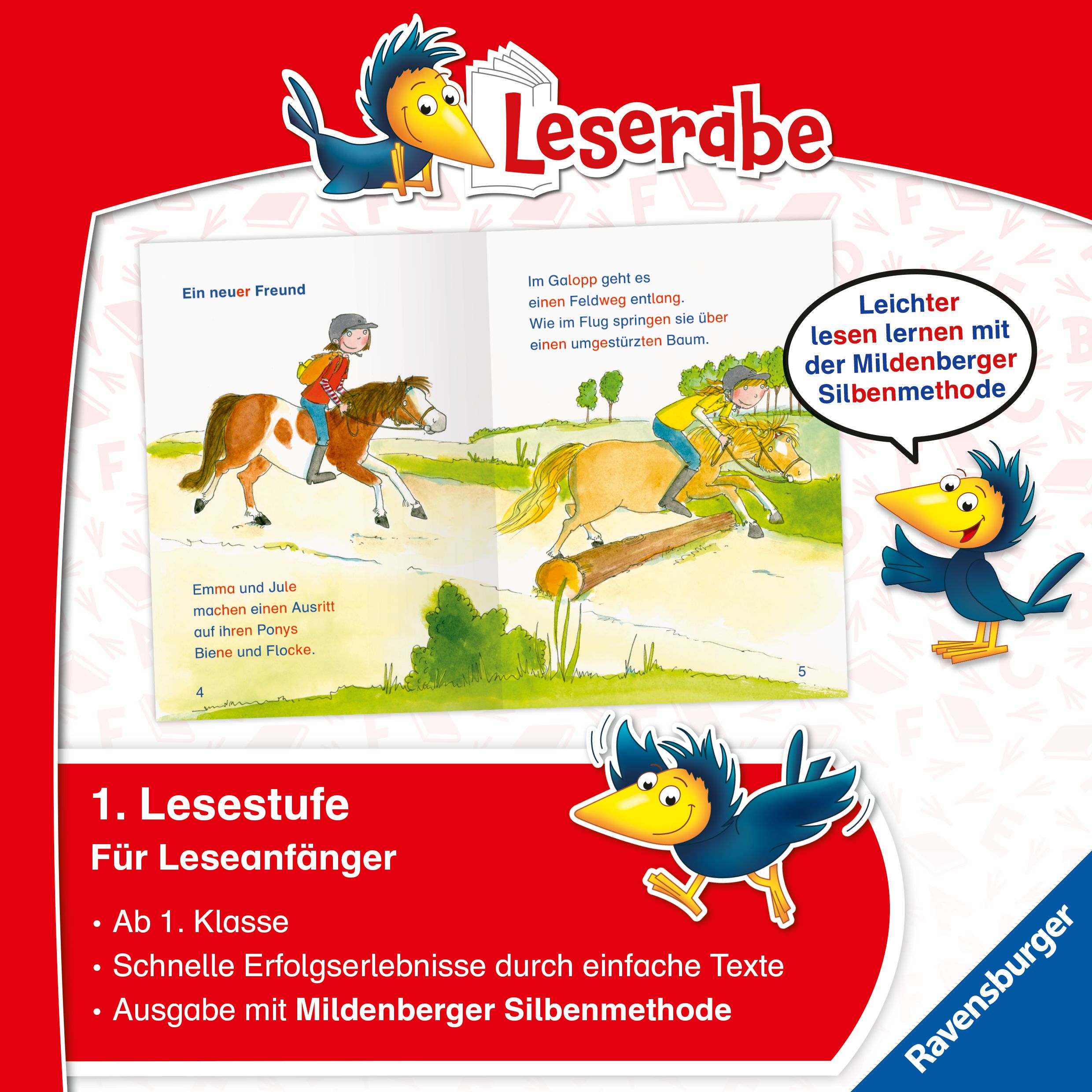Leserabe mit Mildenberger Silbenmethode - Ein Zebra auf dem Ponyhof (Mängelexemplar)