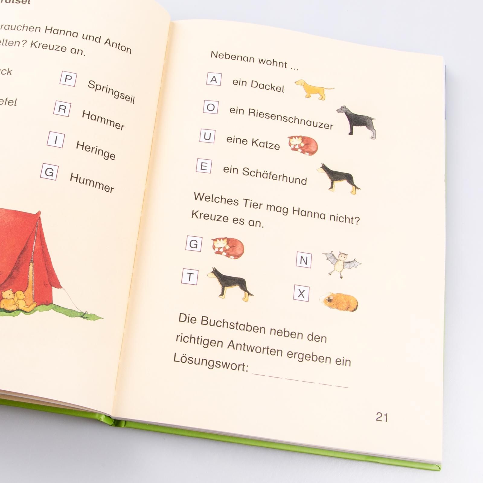 LESEMAUS zum Lesenlernen Sammelbände: Das große Buch zum Lesenlernen (Mängelexemplar) (Cover kann abweichen)