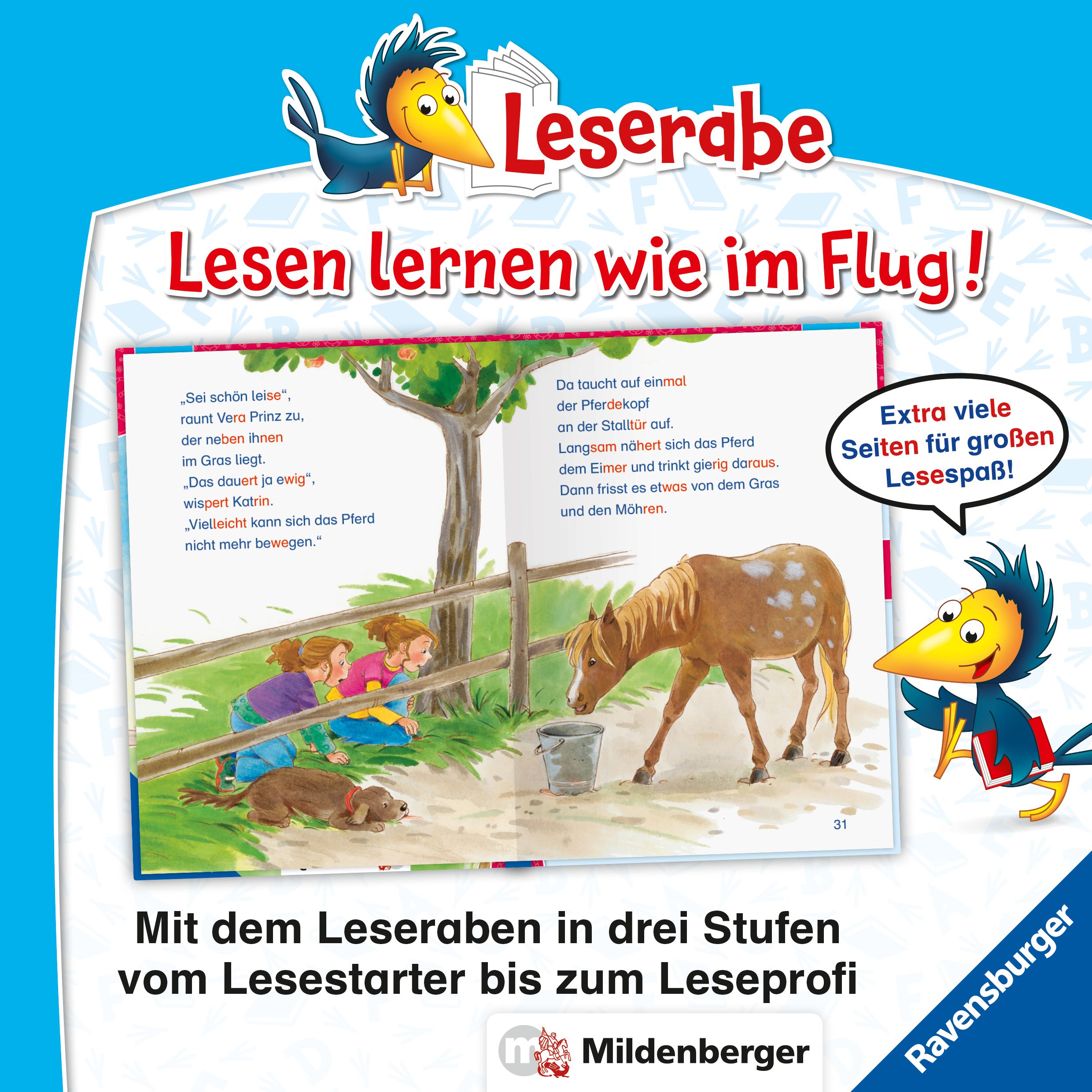 Leserabe Sonderausgaben - Die schönsten Pferdegeschichten - Silbe für Silbe lesen lernen (Mängelexemplar)