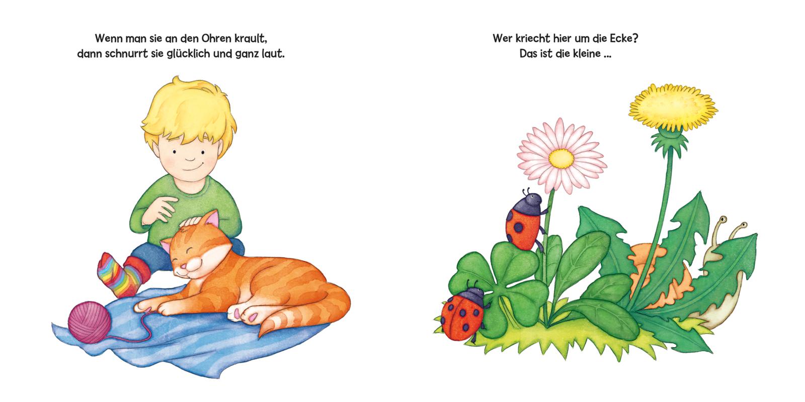 Miau! Wer schleicht auf leiser Tatze? Die ... Katze! - Großausgabe - ab 18 Monaten