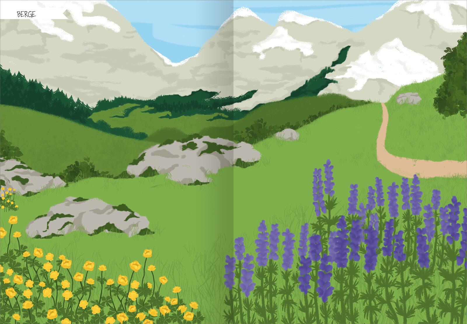 Naturforscher-Kids – Stickerheft Heimische Tierwelt (Mängelexemplar)