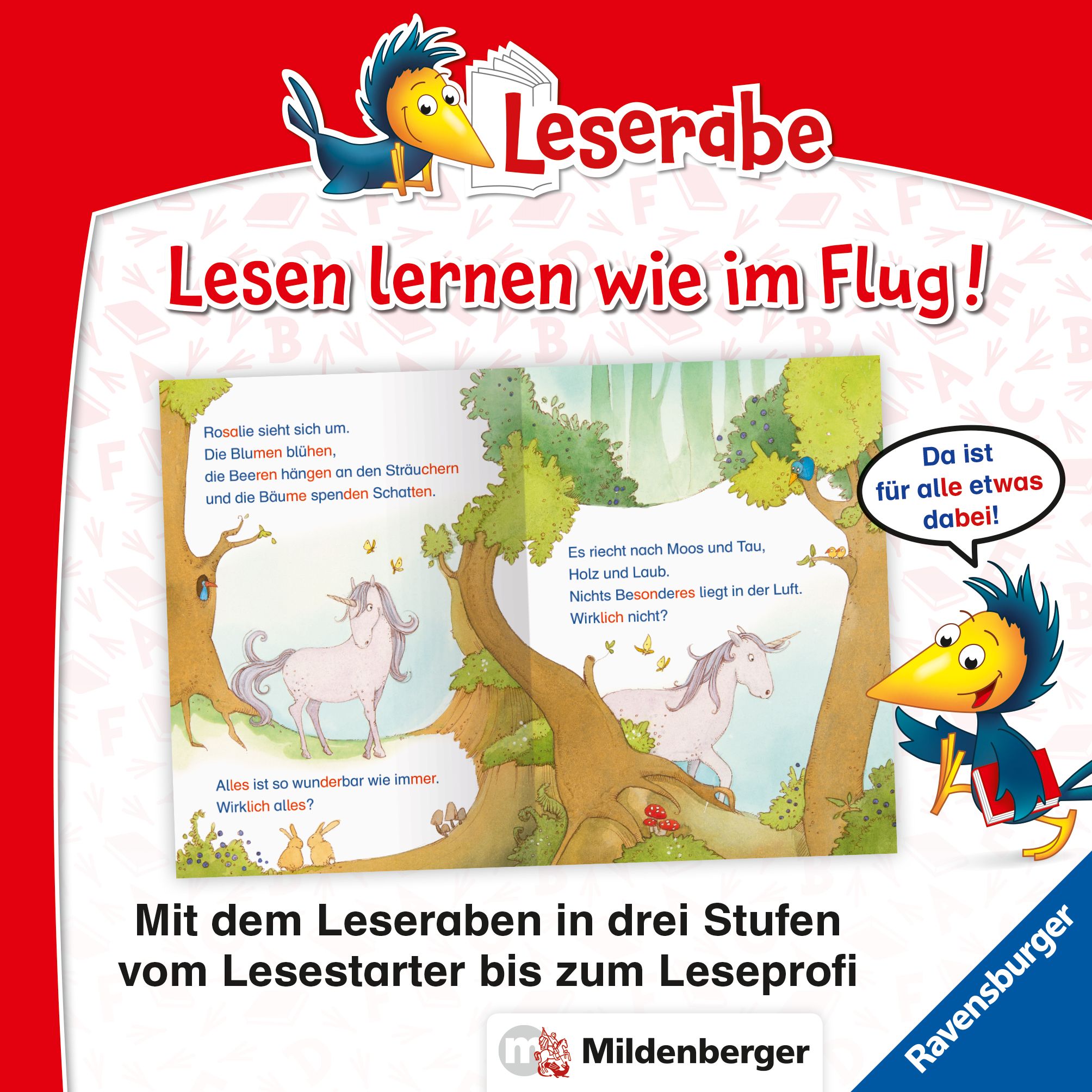 Leserabe mit Mildenberger Silbenmethode - Fee Federleicht und das Einhorn (Mängelexemplar)