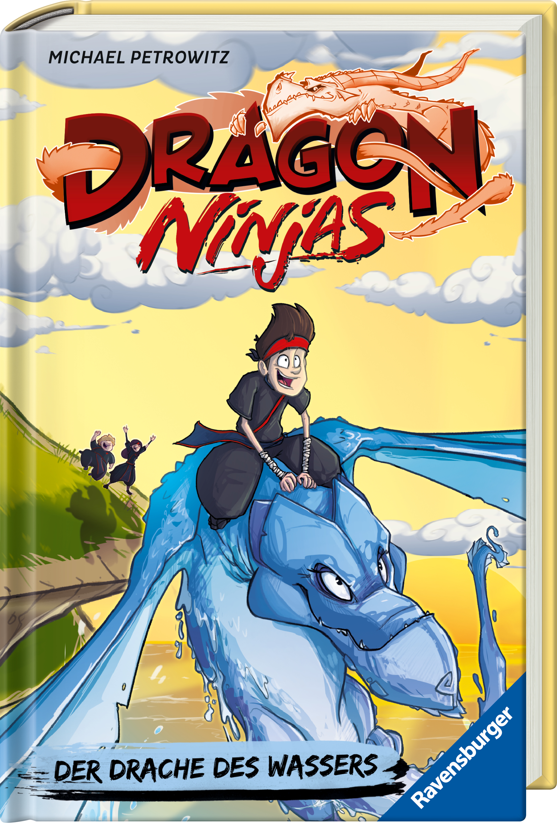 Dragon Ninjas, Band 6: Der Drache des Wassers | Drachenstarkes Kinderbuch ab 8 Jahre  (Mängelexemplar)