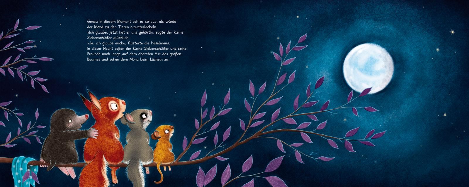 Der kleine Siebenschläfer 6: Die Geschichte vom kleinen Siebenschläfer, der dem Mond Gute Nacht sagen wollte (Mängelexemplar)