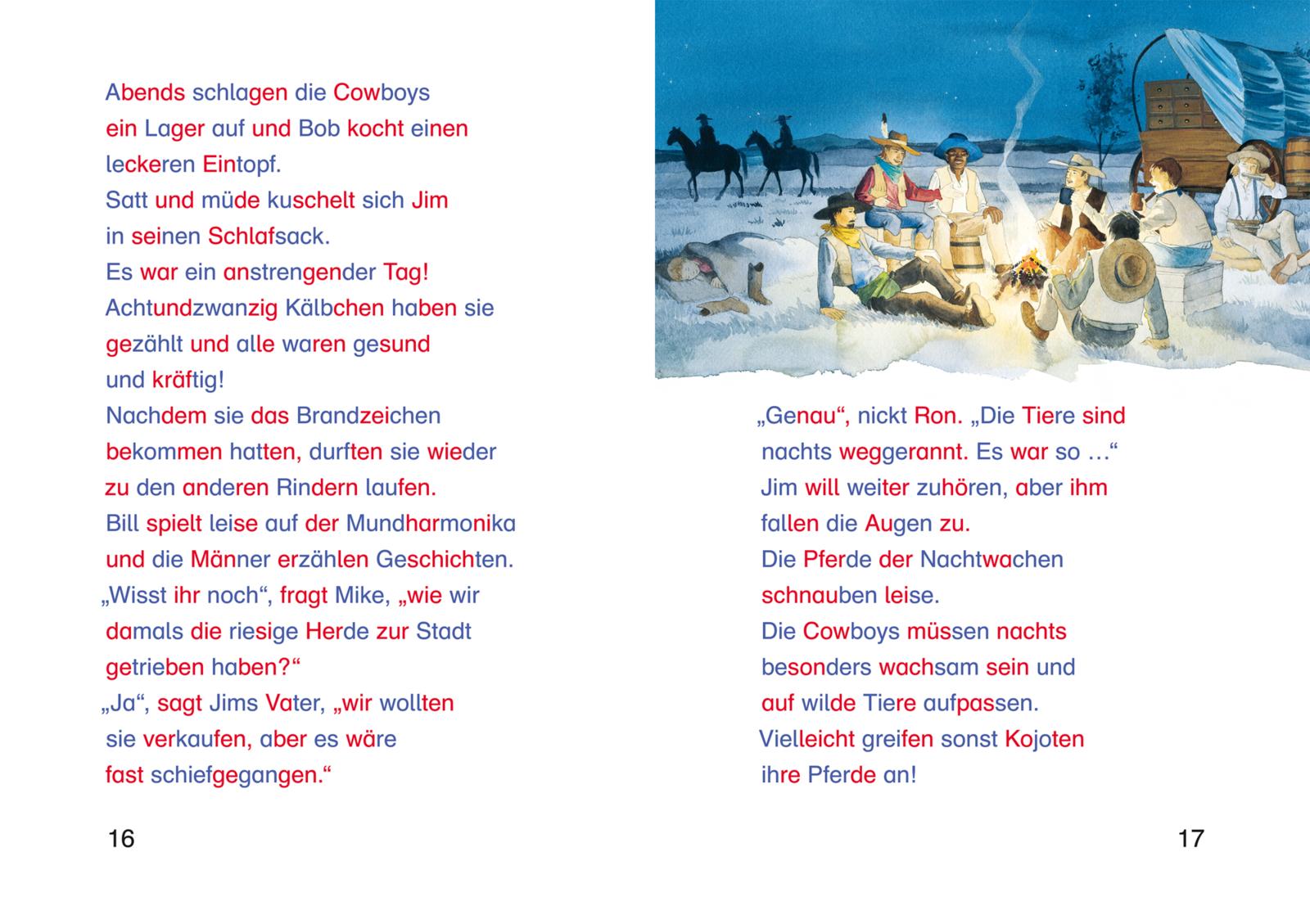 LESEMAUS zum Lesenlernen Sammelbände: Spannende Silben-Geschichten zum Lesenlernen (Mängelexemplar)