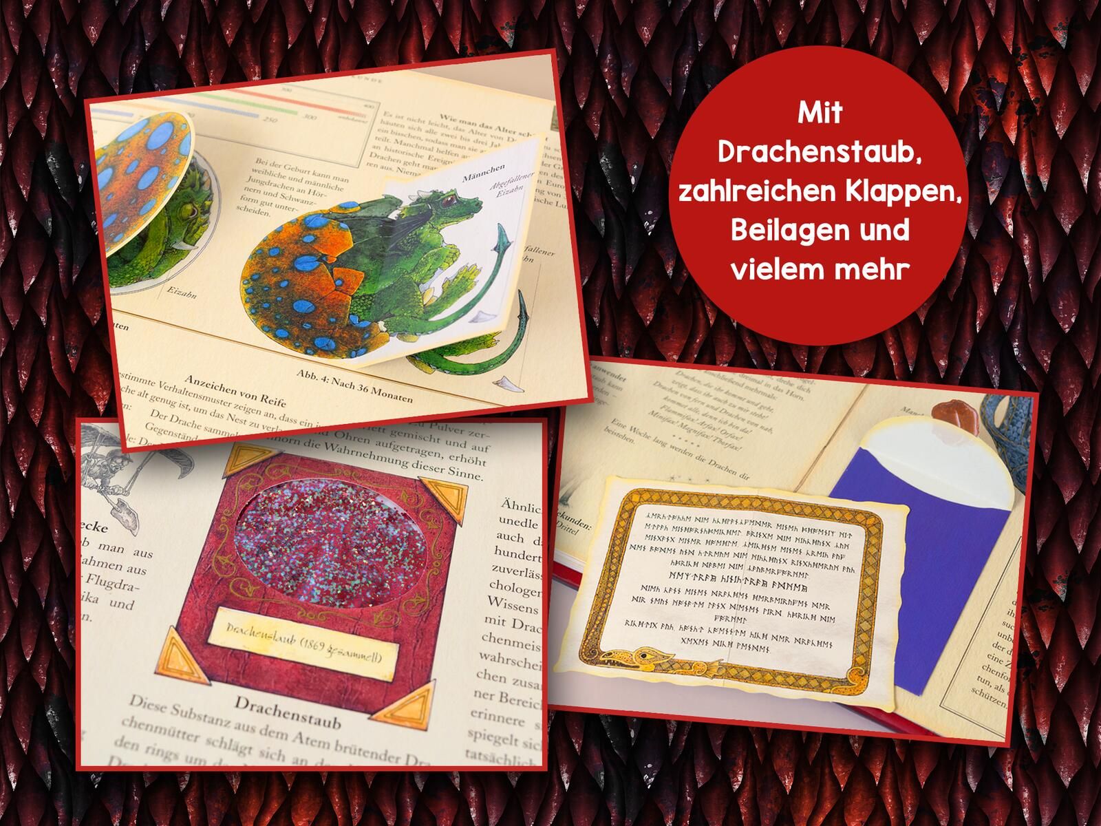 Expedition in die geheime Welt der Drachen (Mängelexemplar)