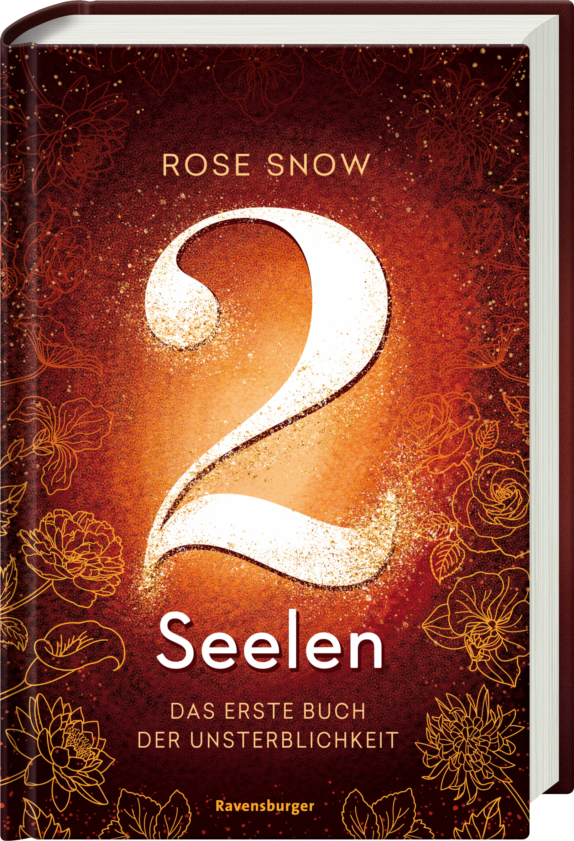 2 Seelen. Das erste Buch der Unsterblichkeit (Mängelexemplar)