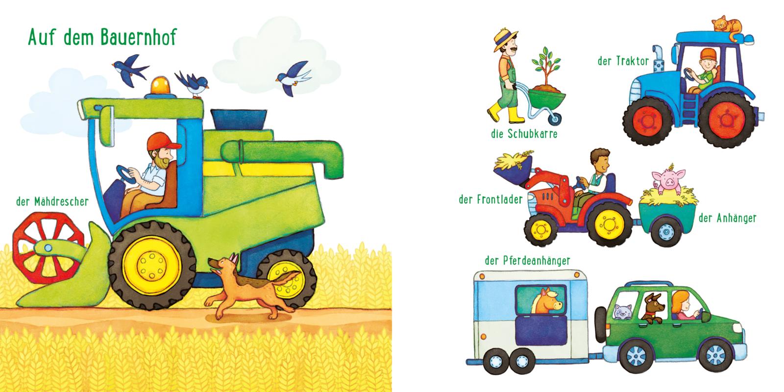 Baby Pixi (unkaputtbar) 134: Mein Baby-Pixi-Buggybuch: Alle meine Fahrzeuge (Mängelexemplar)