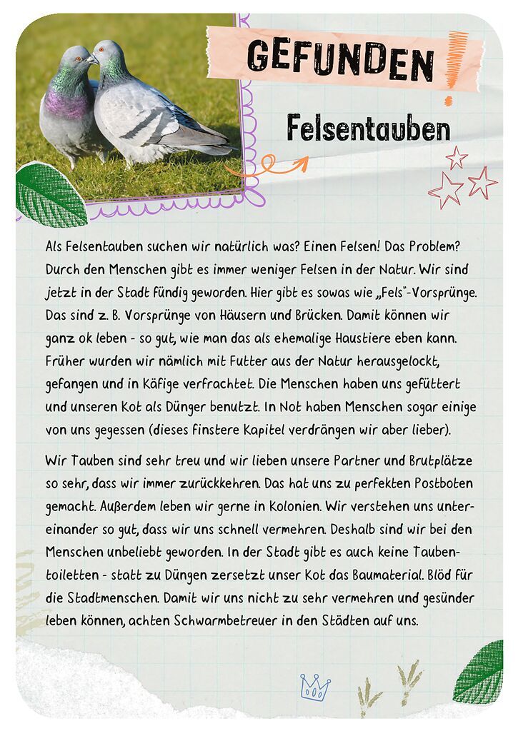 Tierische Wohnung gesucht (Mängelexemplar)