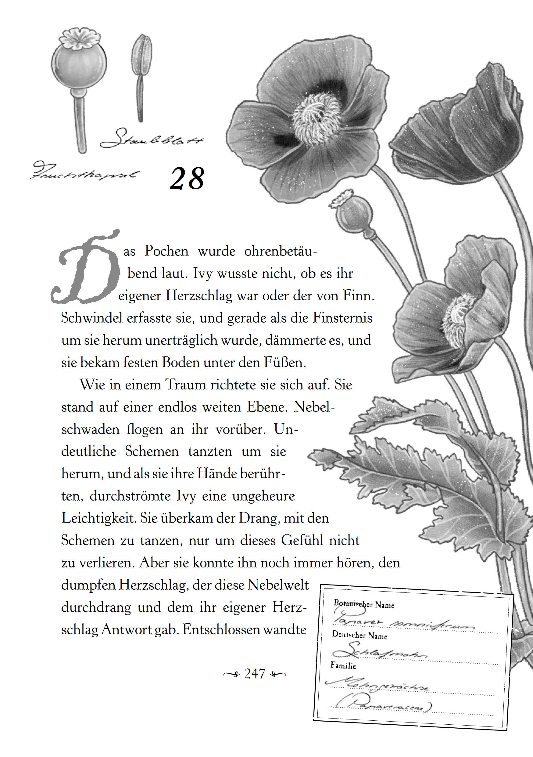 Ivy und die Magie des Poison Garden (Mängelexemplar)