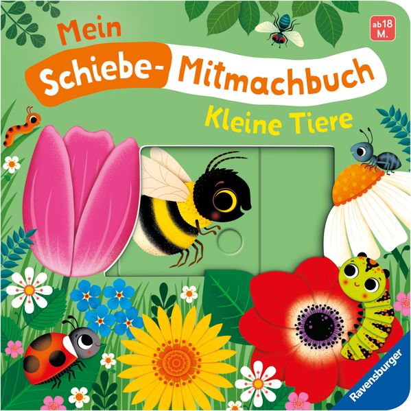Mein Schiebe-Mitmachbuch - Kleine Tiere (Mängelexemplar)