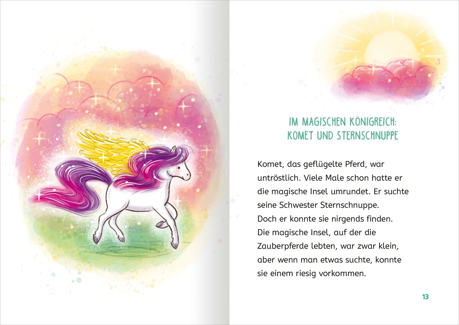 Lesen lernen mit Magie: Zauberponys (Mängelexemplar)