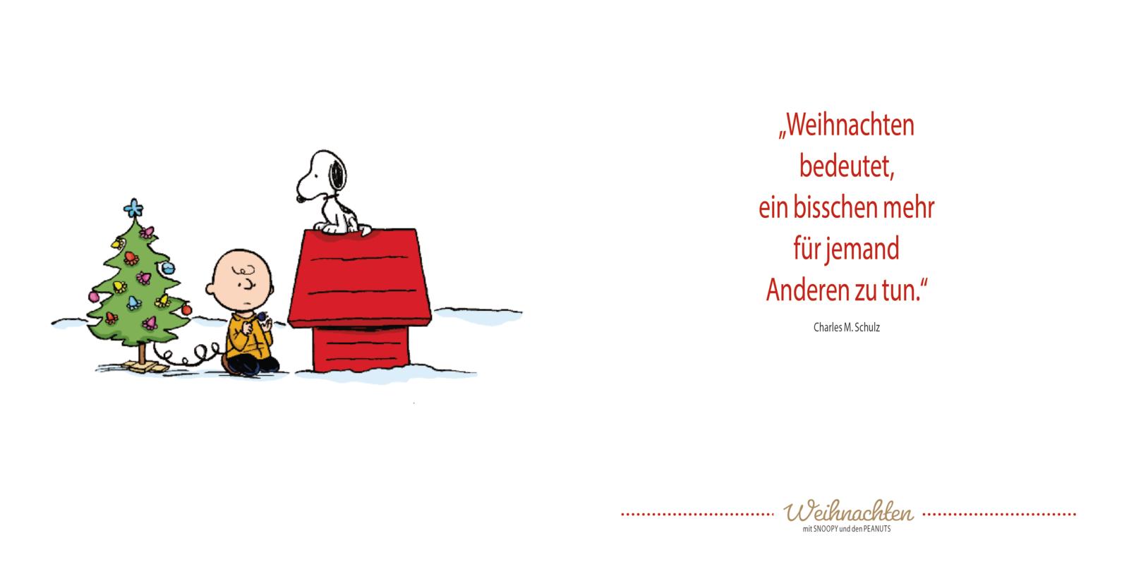 Peanuts Geschenkbuch: Frohe Weihnachten mit Snoopy und den Peanuts (Mängelexemplar)