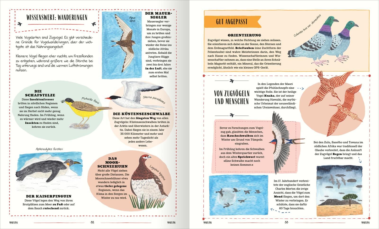 Vögel (Mängelexemplar)