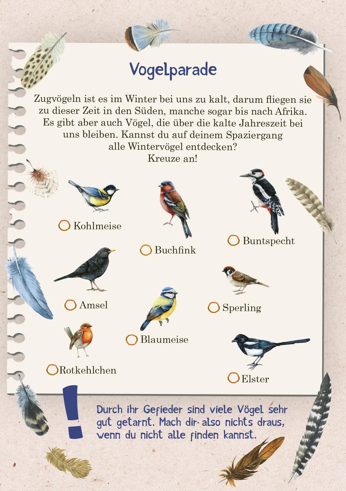 Abenteuer-Spaziergänge Im Winter
