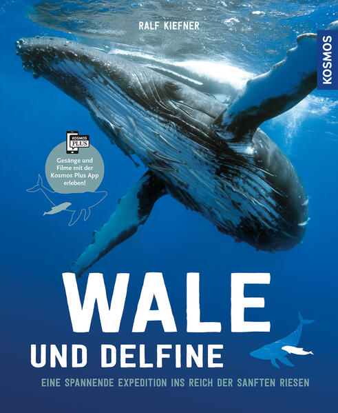 Wale & Delfine - Eine spannende Expedition ins Reich der sanften Riesen