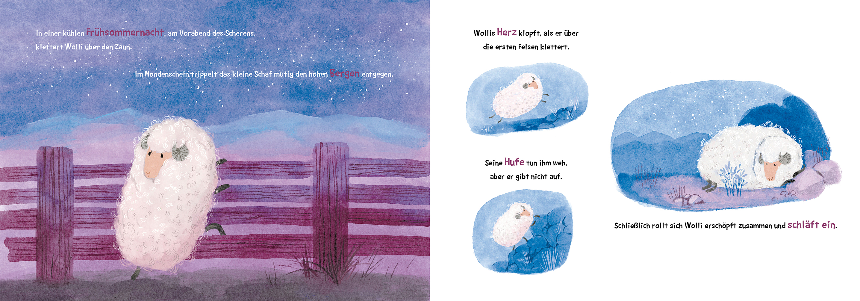 Wolli liebt seine Wolle