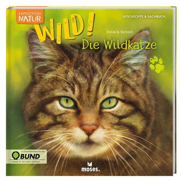 db84ad612a406857539c9d3c0444d7761738235108 Expedition Natur: WILD! Die Wildkatze