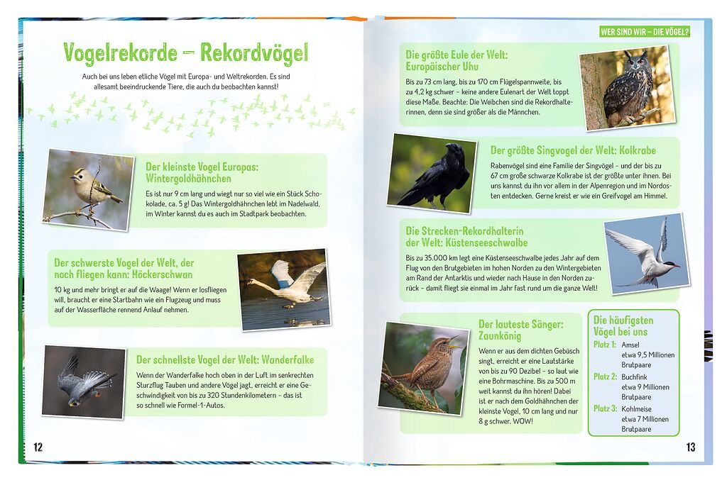 X_Erforsche die Vögel - Ihr Leben rund ums Jahr (Mängelexemplar)