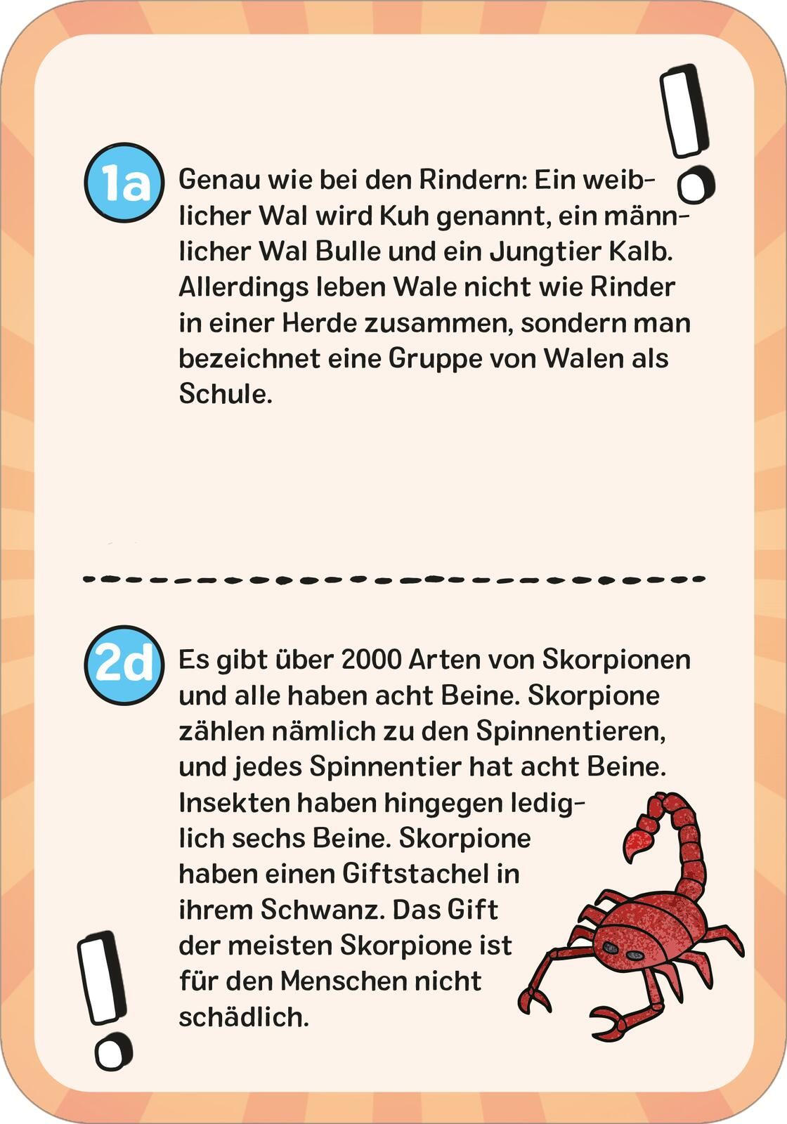 Das wilde Tier-Quiz (Mängelexemplar)