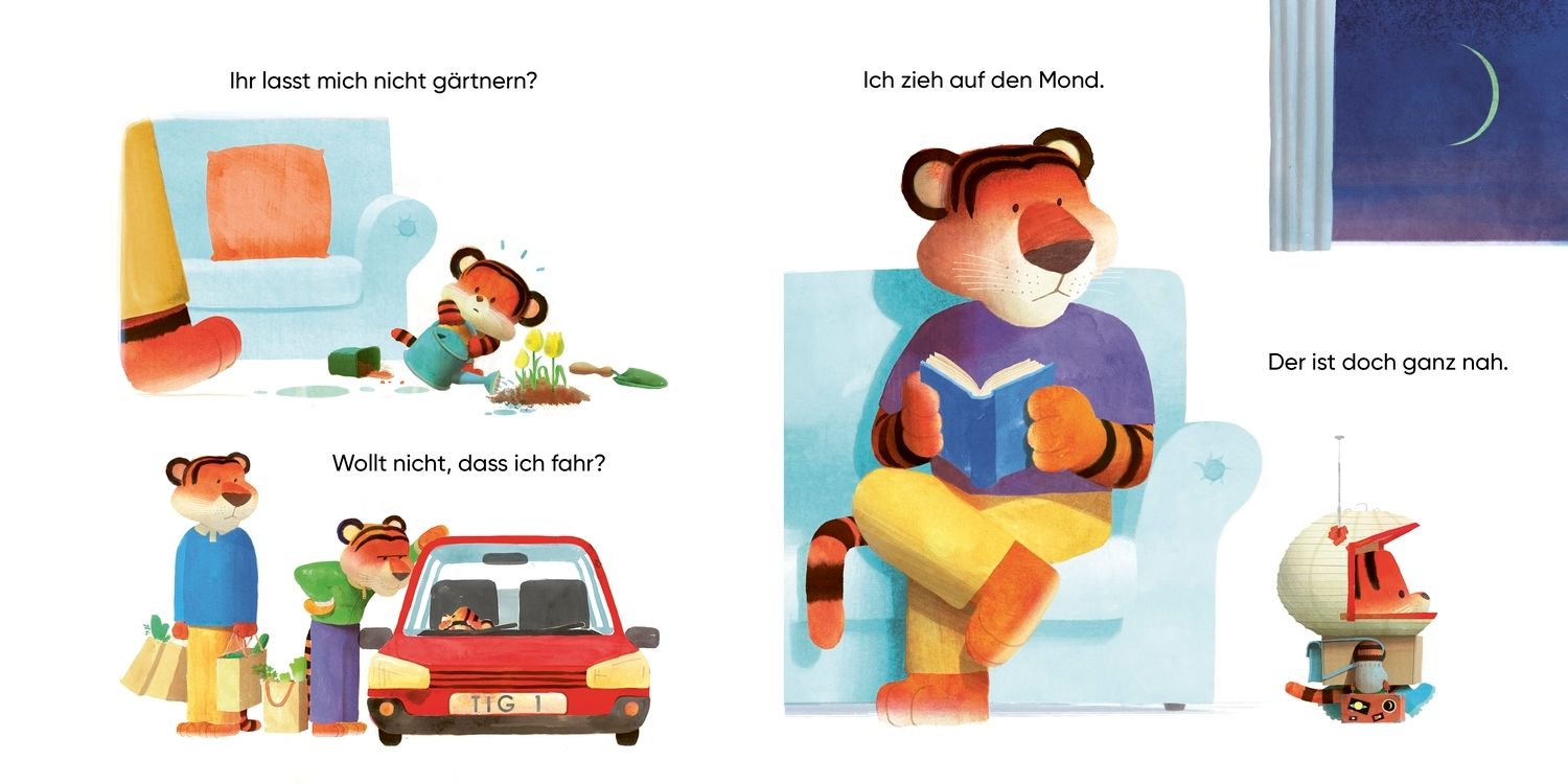 Kleiner Tiger, große Gefühle. Warum denn nicht? (Mängelexemplar)