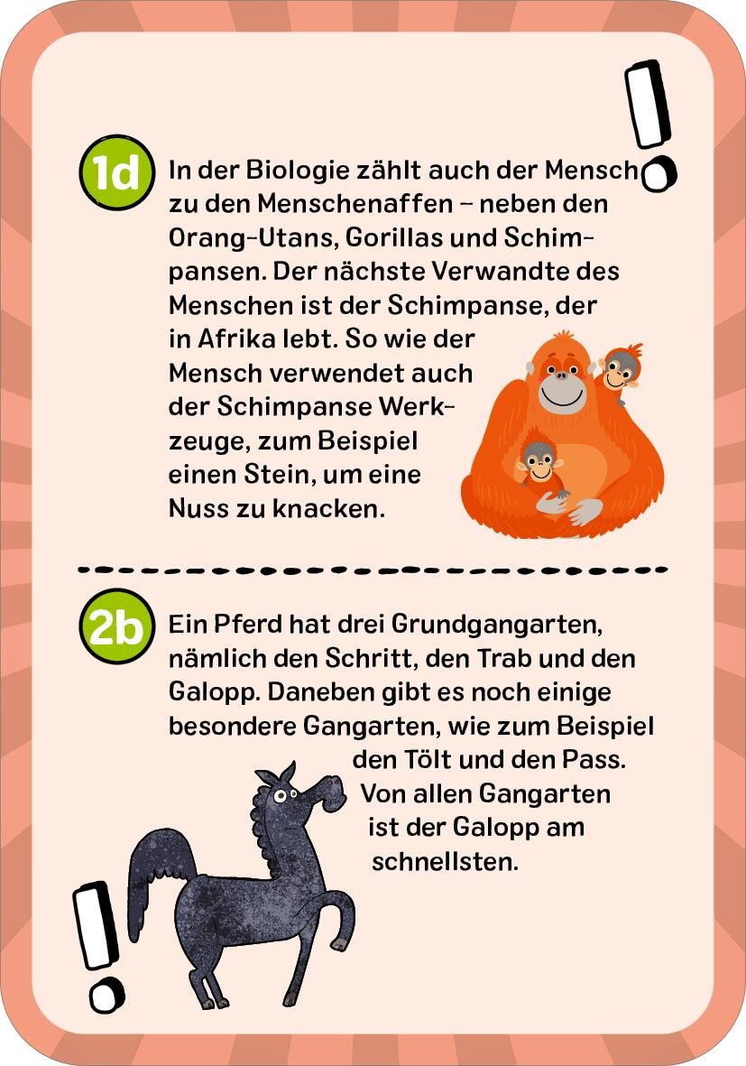 Das ultimative Wissens-Quiz (Mängelexemplar)