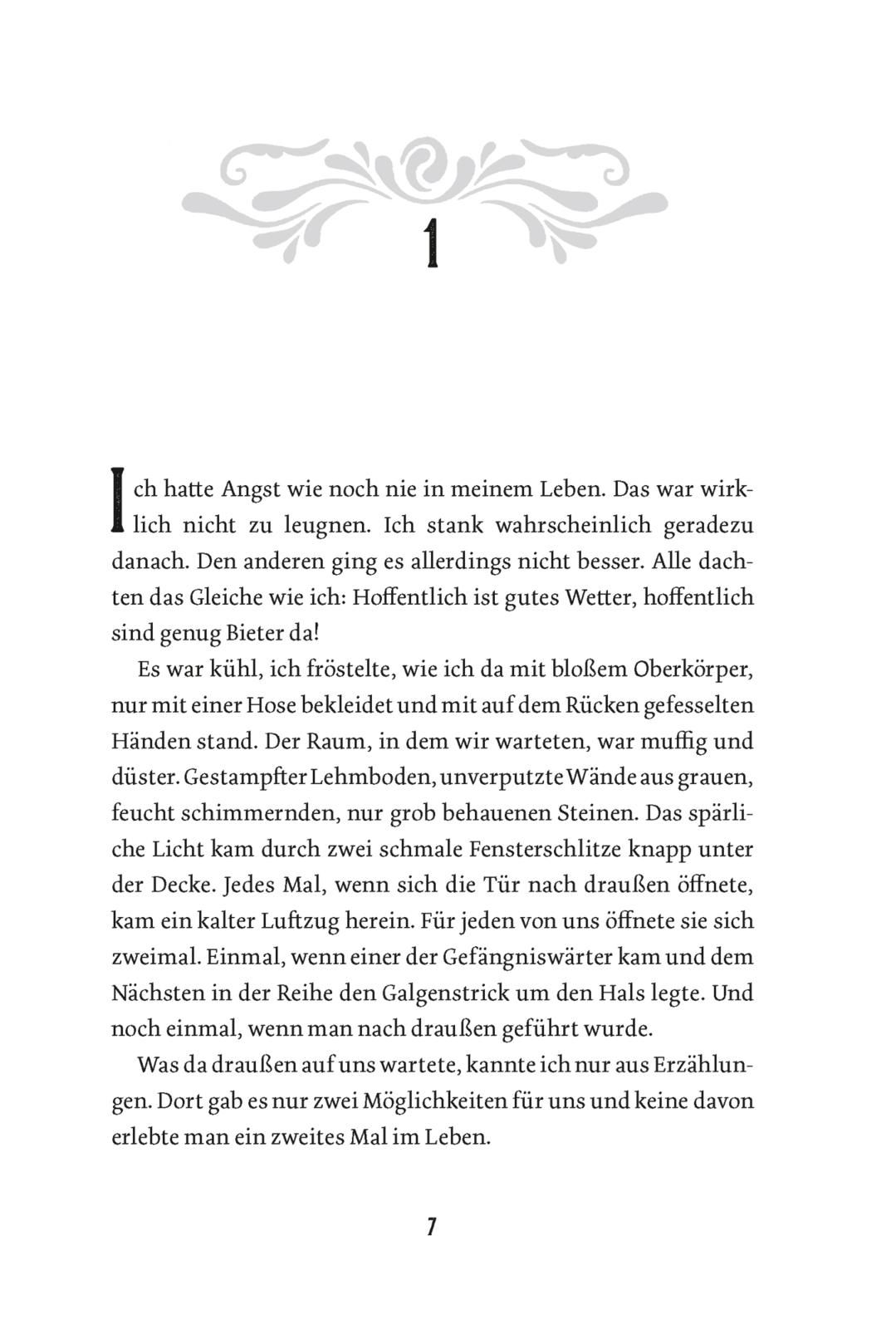 Stadt der Magier und Diebe (Stadt der Magier 1) (Mängelexemplar)