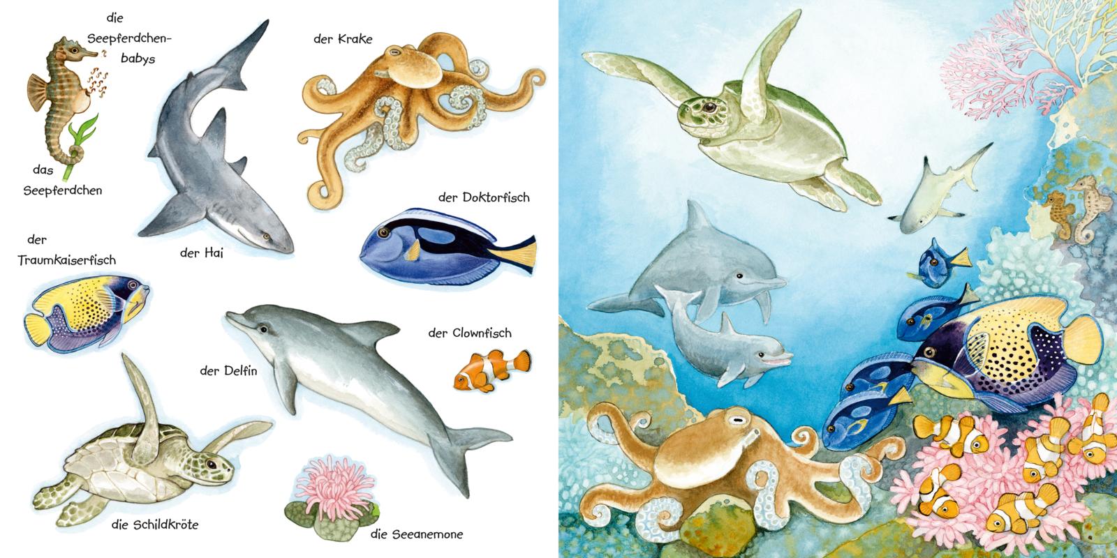 Mein kleines buntes Bildwörterbuch: Tiere im und am Wasser (Mängelexemplar)