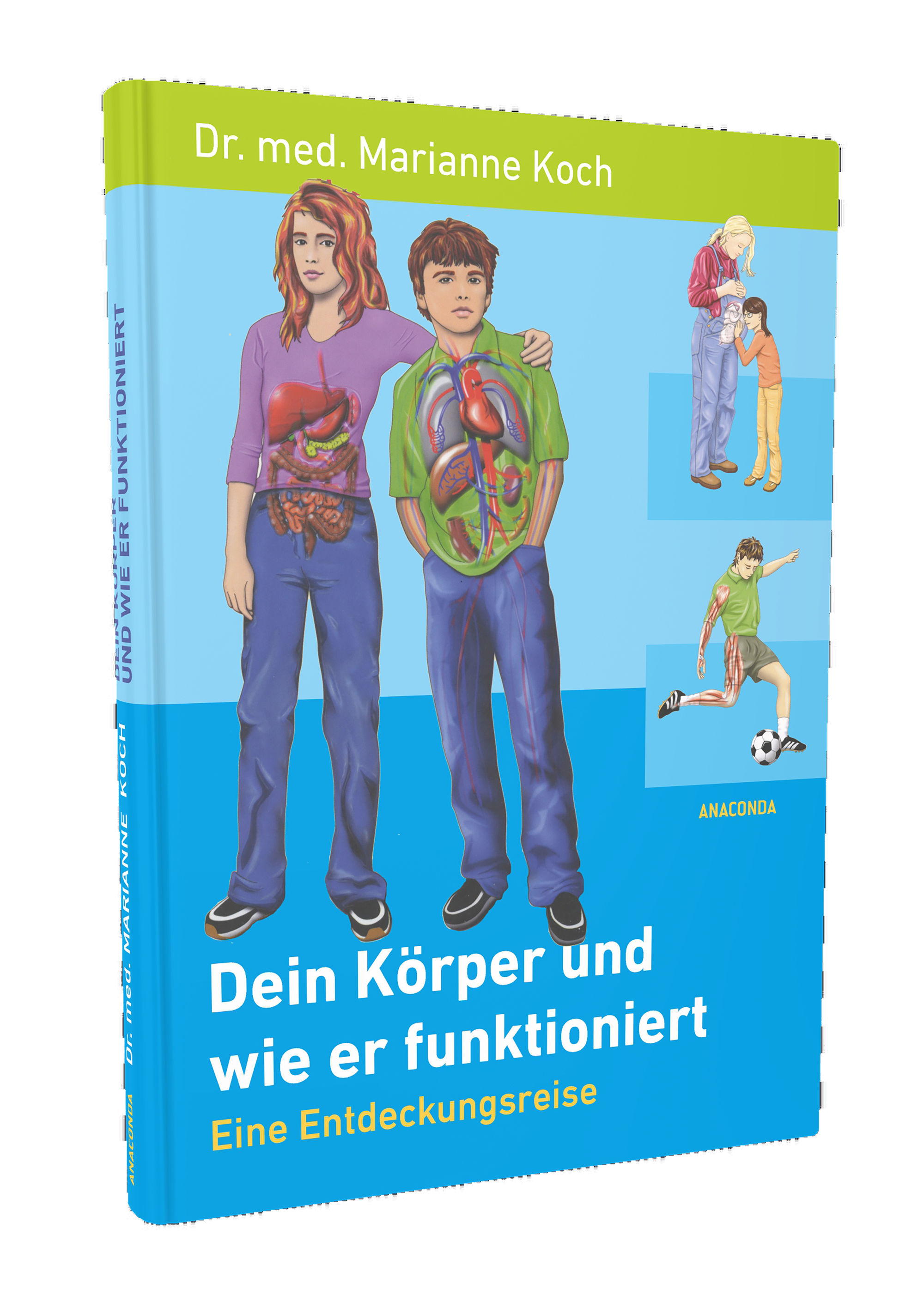 Dein Körper und wie er funktioniert (Gesundheit, Funktionsweise)
