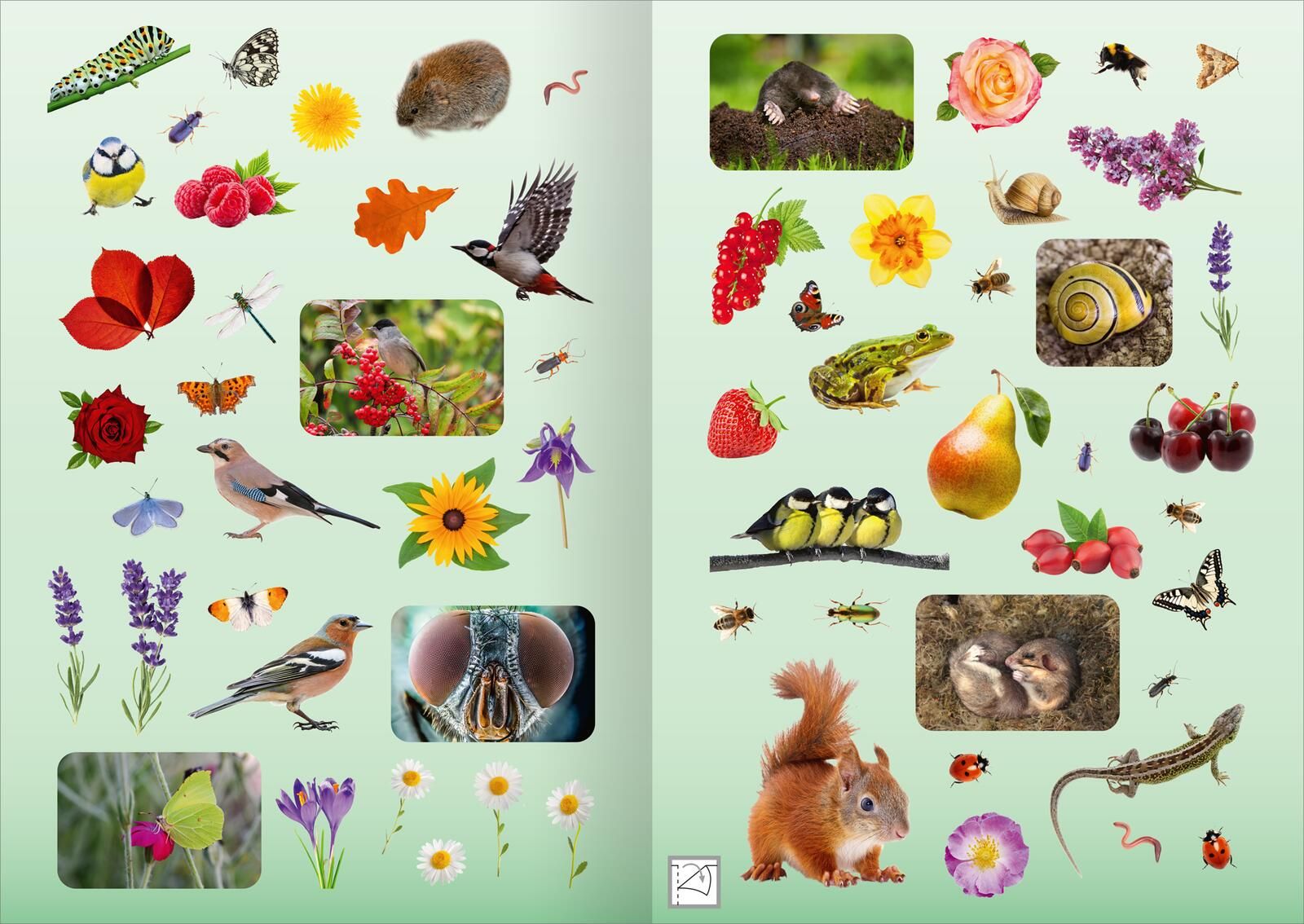 Naturforscher-Kids – Fotosticker Im Garten